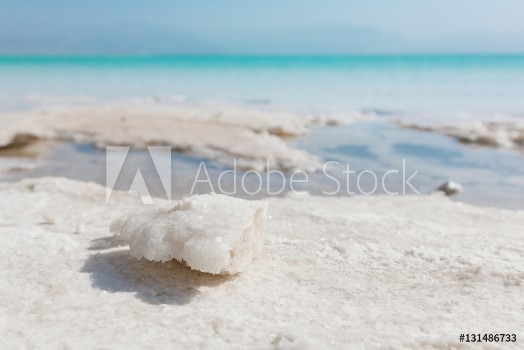 Bild på Natural salt crystals at the Dead Sea
